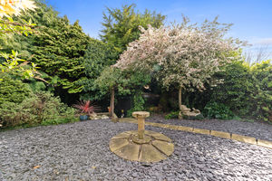 Photo 55- click for photo gallery